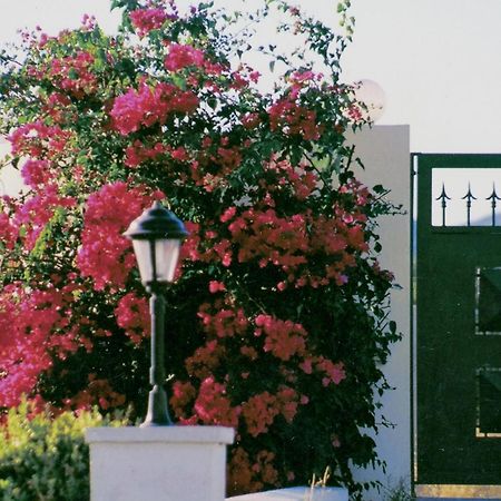 Beachfront Villa Rhodes Seashell Gennadi Bagian luar foto