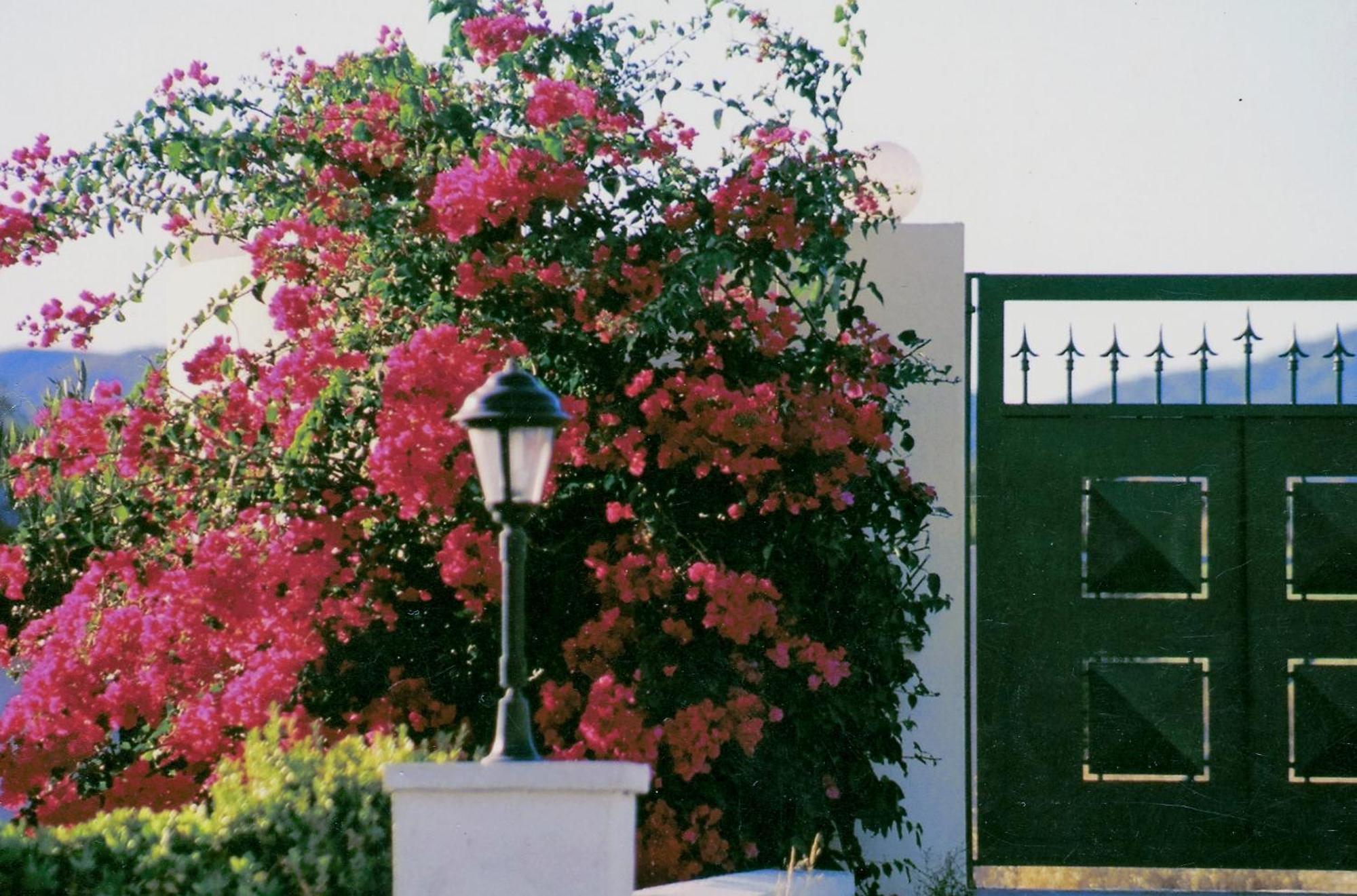 Beachfront Villa Rhodes Seashell Gennadi Bagian luar foto