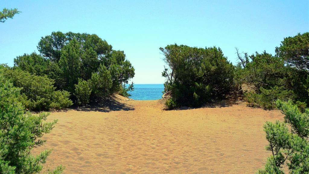 Beachfront Villa Rhodes Seashell Gennadi Bagian luar foto